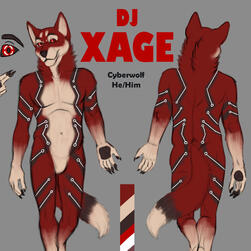 Ref Sheet for DJXage